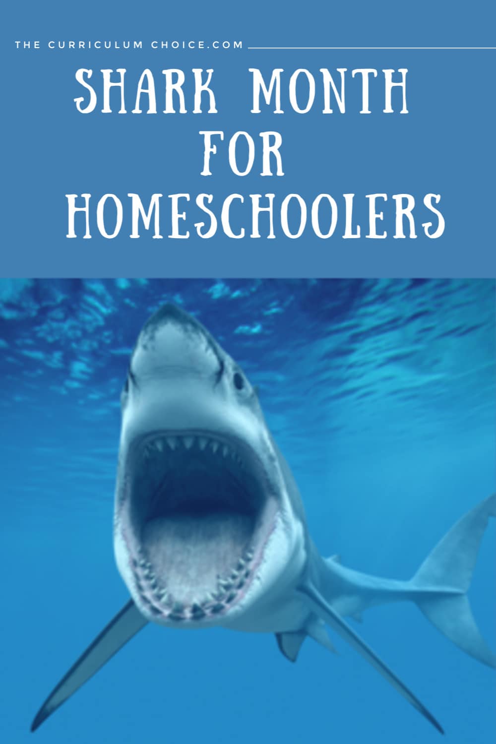 Shark Month for Homeschoolers