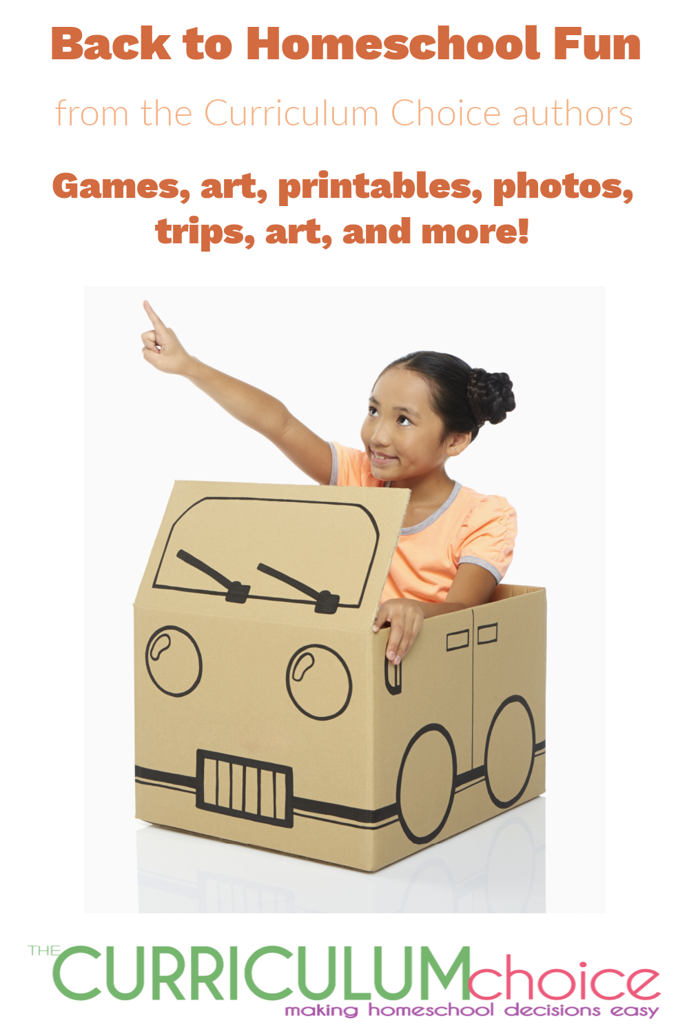 Back to Homeschool Fun - The Curriculum Choice