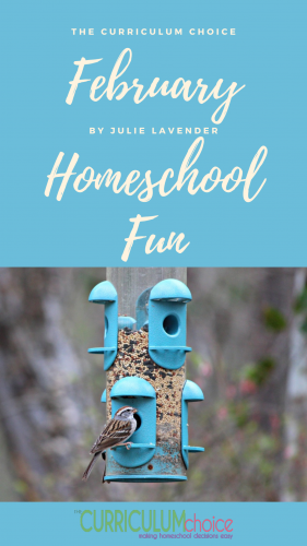 February Homeschool Fun - The Curriculum Choice