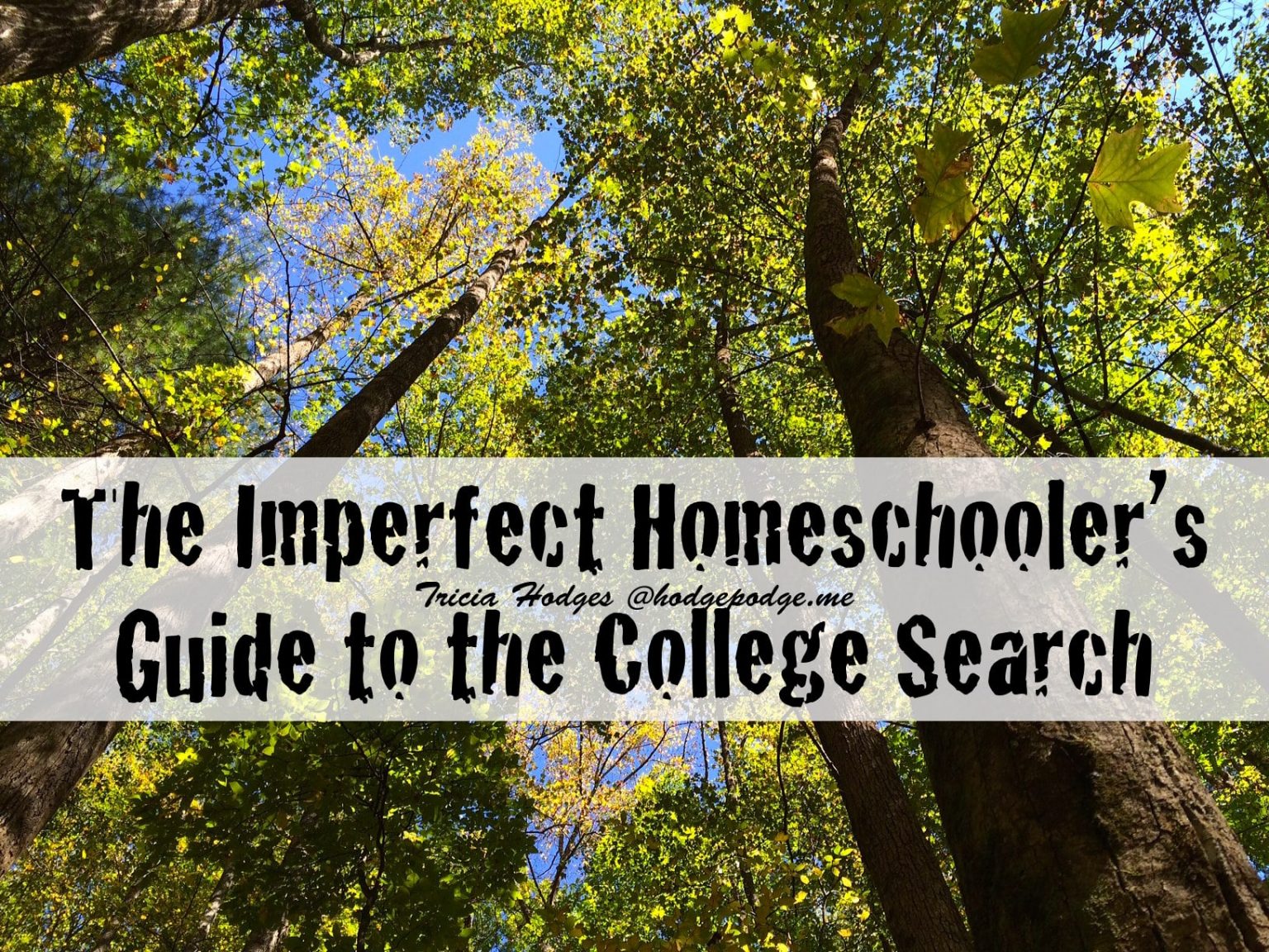 Getting Your Homeschooled High Schooler Ready for College - The ...