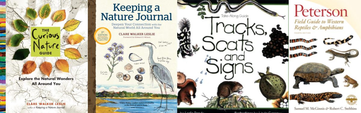Homeschool Nature Study Resource: Keeping a Nature Journal - Review -  Homeschool Nature Study