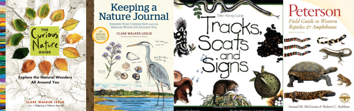 Keeping a Nature Journal, 3rd Edition: Deepen Your Connection with the  Natural World All Around You