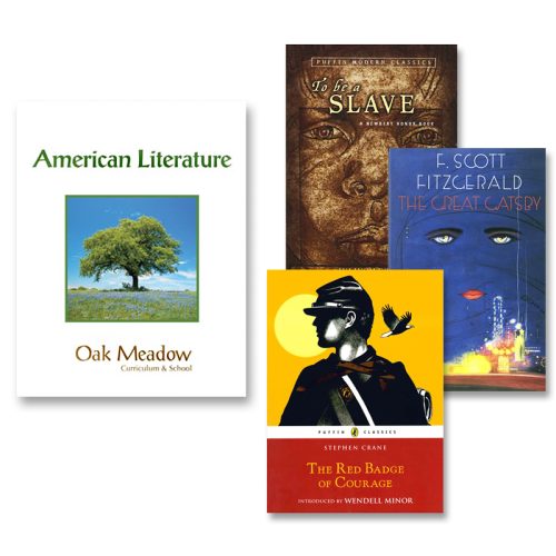 High School Senior Literature Curriculum