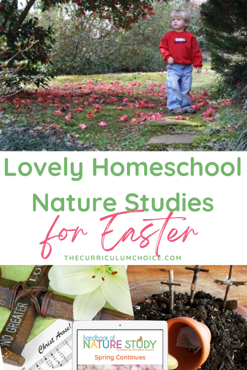 These lovely homeschool nature studies for Easter are a fun and hands-on way to celebrate the resurrection story. Nature studies for Easter can help hone our senses, prompt us to get outside – and to open our eyes to His love for us!