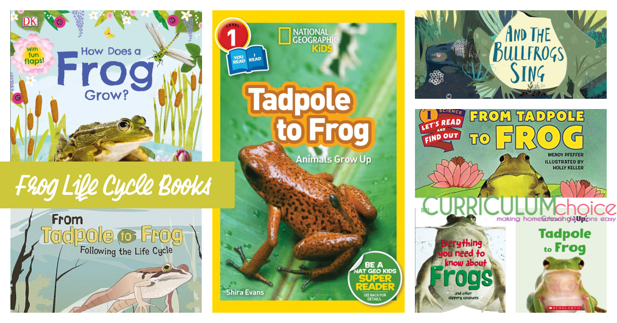 Frog Life Cycle Books