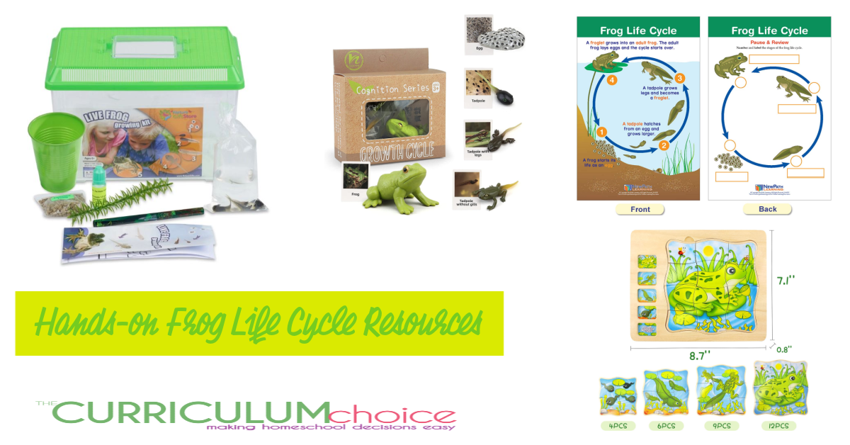 Hands-on Frog Life Cycle Resources