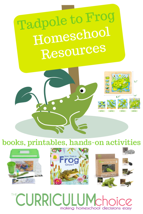 This is a collection of resources for learning about the life cycle of a tadpole to a frog. Includes hands-on activities, books, printables, and videos!
