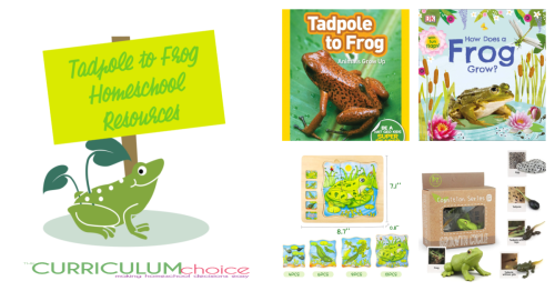This is a collection of resources for learning about the life cycle of a tadpole to a frog. Includes hands-on activities, books, printables, and videos!