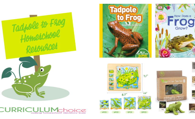 This is a collection of resources for learning about the life cycle of a tadpole to a frog. Includes hands-on activities, books, printables, and videos!