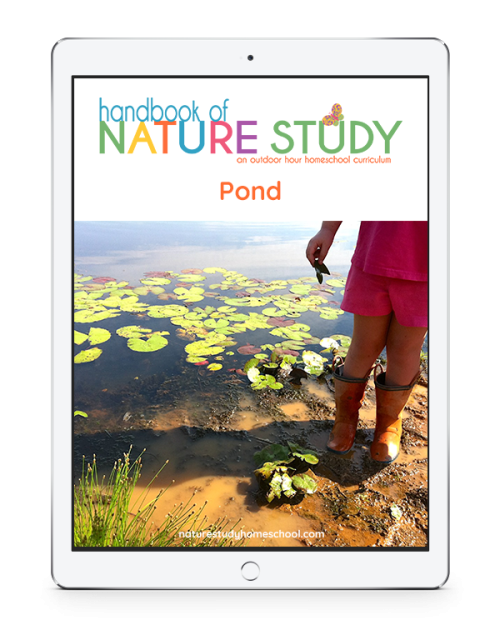 Handbook of Nature Study - Ponds
