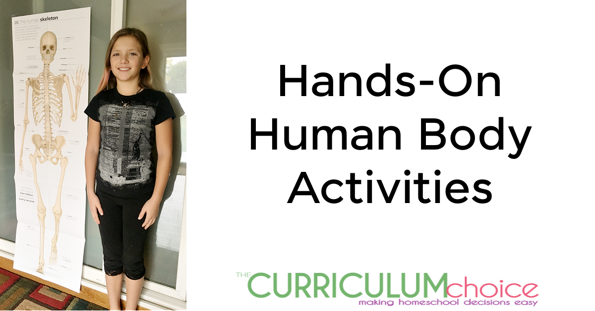 Hands-On Human Body Activities