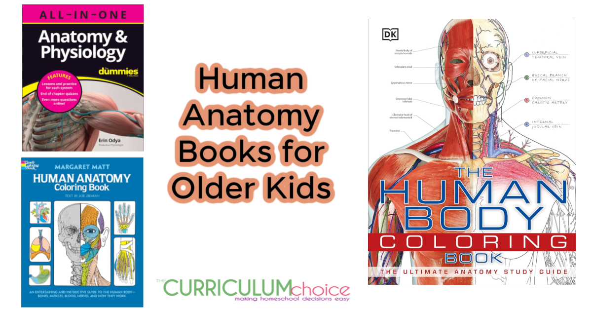 Human Anatomy Books for Older Kids