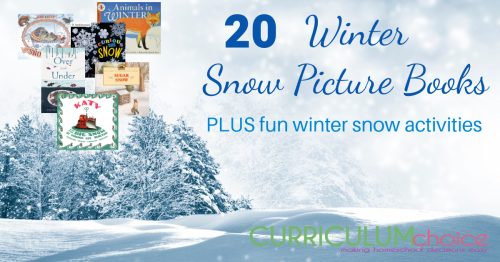 Embrace the cold with these winter snow picture books, non-fiction books, and activities! Learn about hibernation, snowflakes, and more!