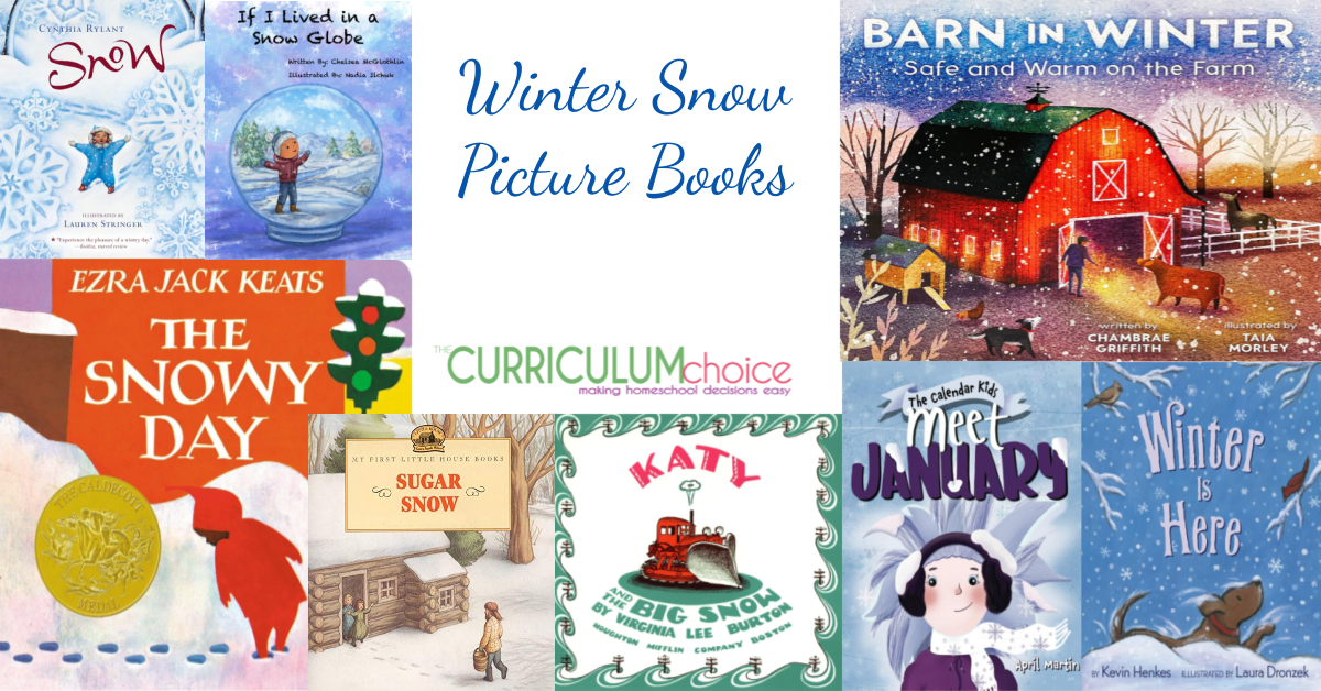 Winter Snow Picture Books