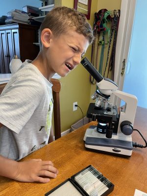 Microscope Studies