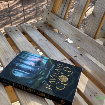 Havilah’s Gold: A Faith-Based Adventure Book!