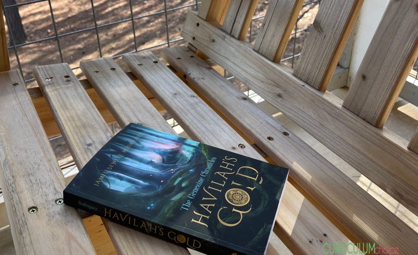 Havilah's Gold is a faith-based adventure book to integrate into homeschool history, literature, or Bible curriculum or put on your summer reading list.