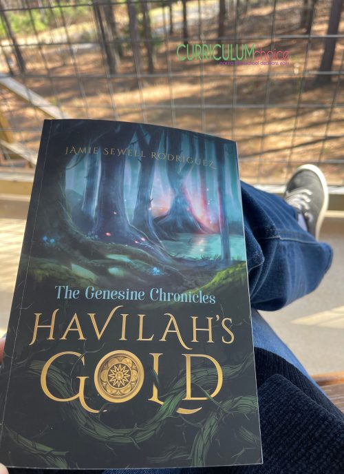 Havilah's Gold is a faith-based adventure book to integrate into homeschool history, literature, or Bible curriculum or put on your summer reading list.